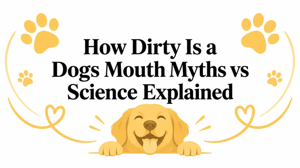 How Dirty Is a Dogs Mouth Myths vs Science Explained
