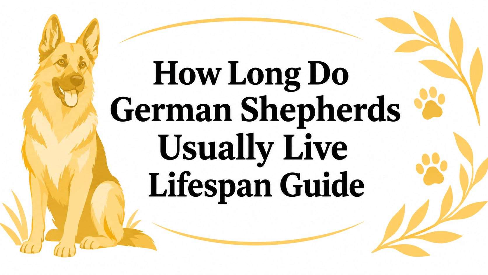 How Long Do German Shepherds Usually Live Lifespan Guide