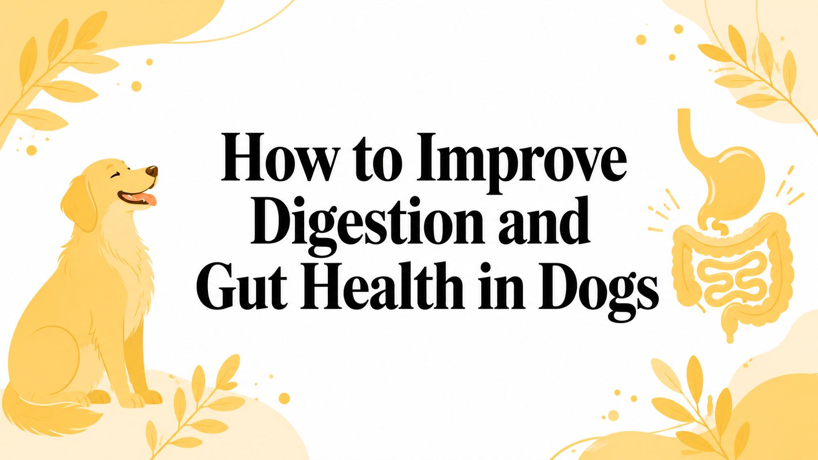 How to Improve Digestion and Gut Health in Dogs