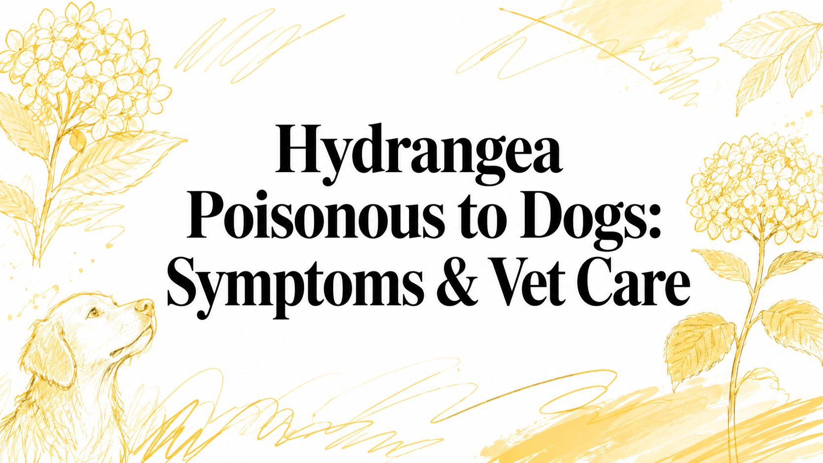 Hydrangea Poisonous to Dogs: Symptoms & Vet Care