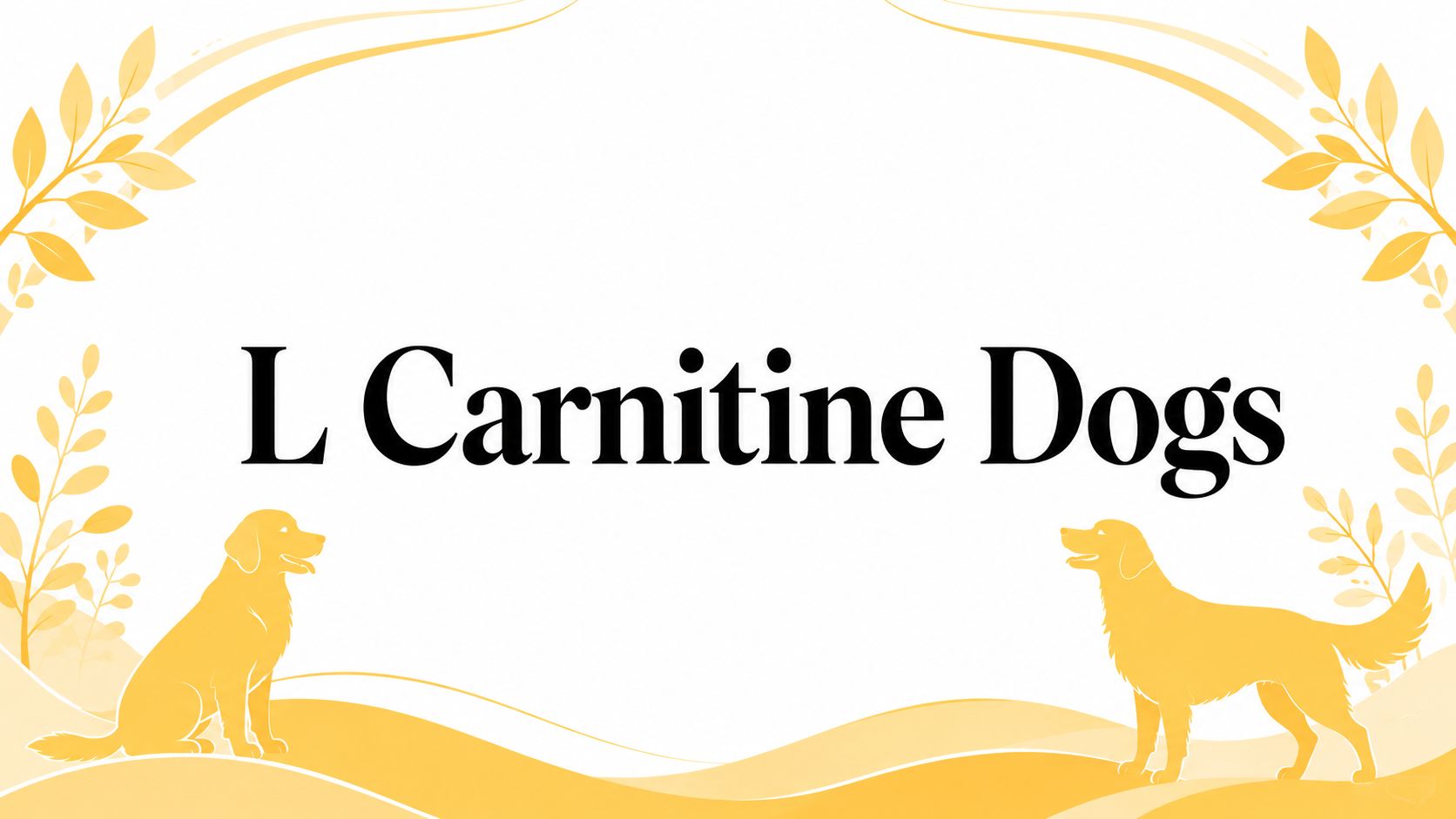 L Carnitine Dogs