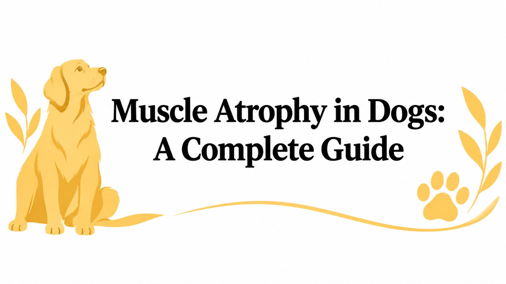 Muscle Atrophy in Dogs: A Complete Guide