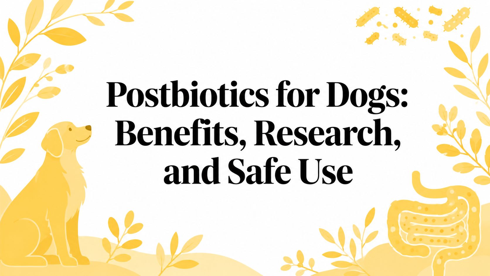 Postbiotics for Dogs: Benefits, Research, and Safe Use