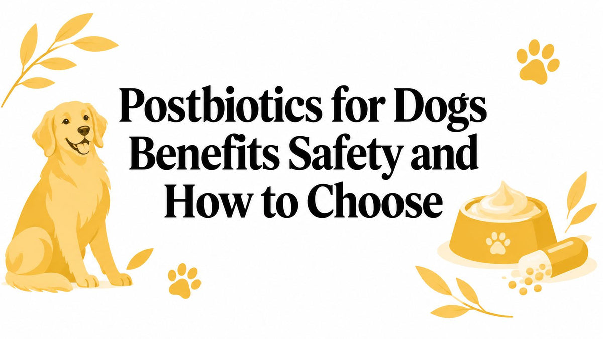 Postbiotics for Dogs Benefits Safety and How to Choose