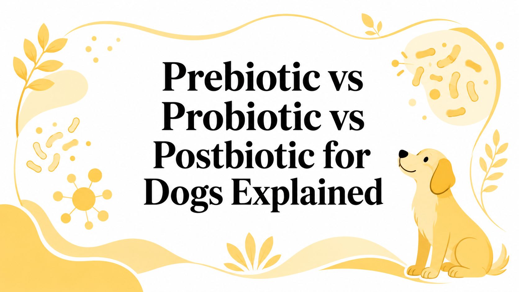 Prebiotic vs Probiotic vs Postbiotic for Dogs Explained