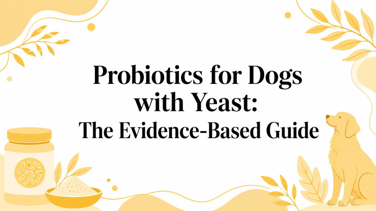 Probiotics for Dogs with Yeast: The Evidence-Based Guide