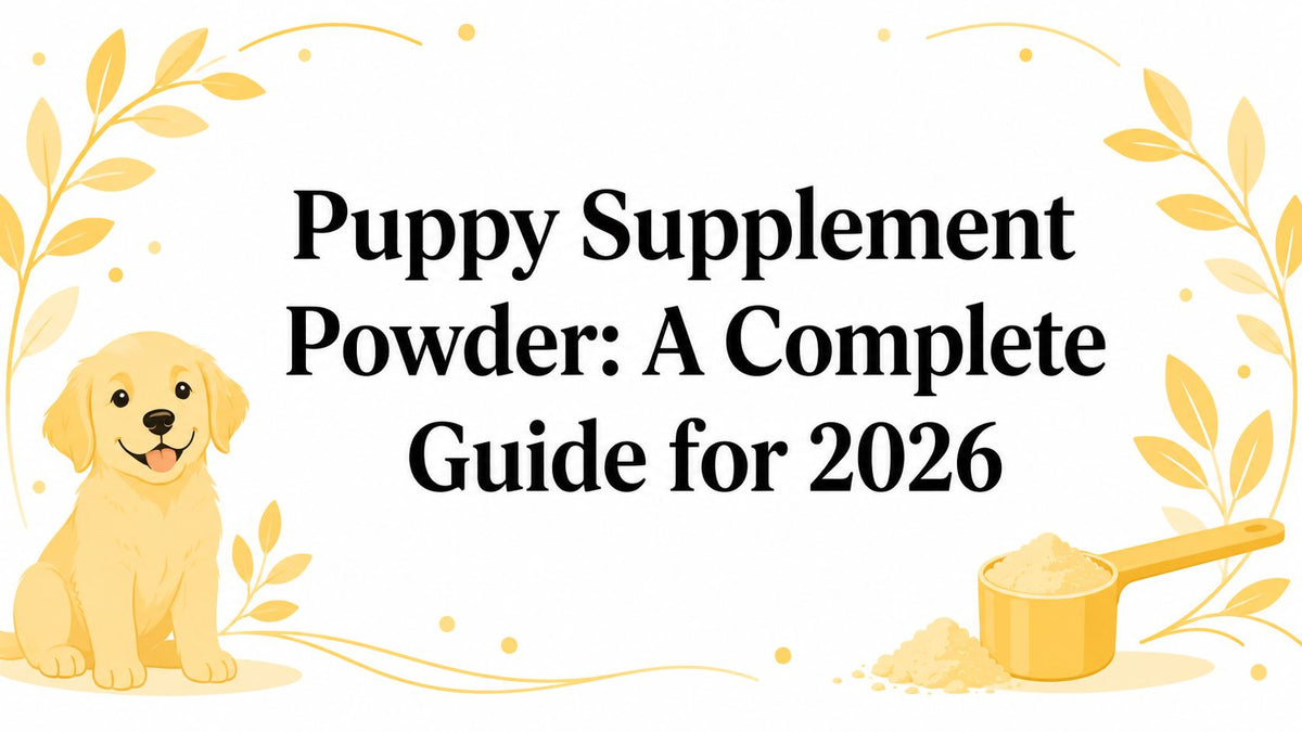 Puppy Supplement Powder: A Complete Guide for 2026
