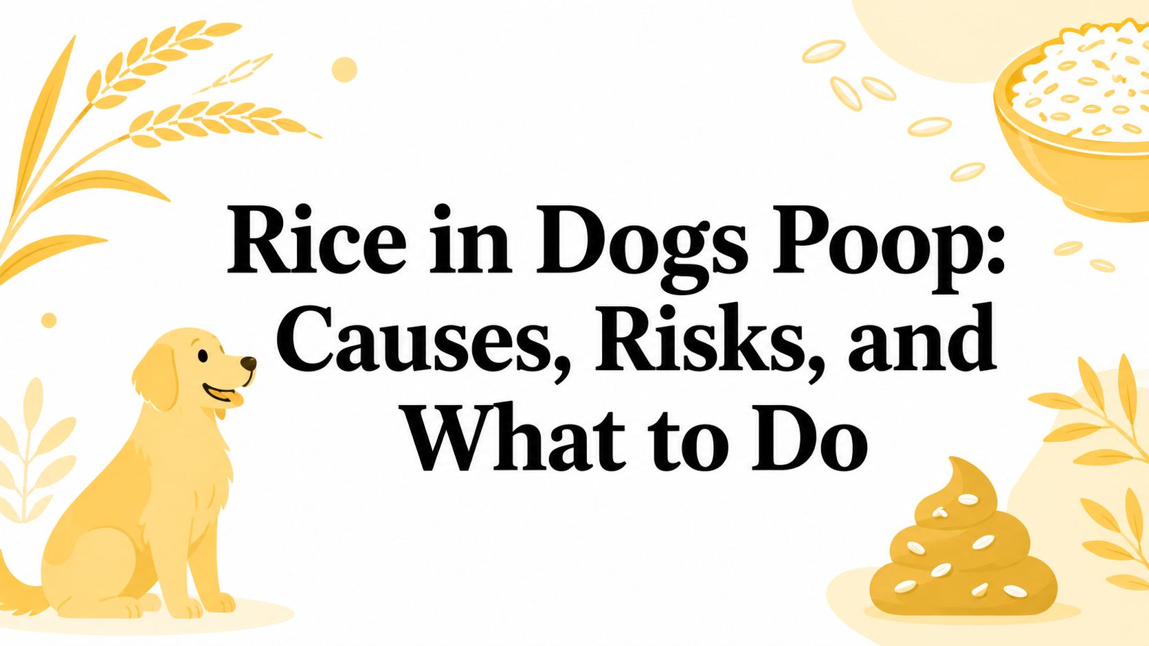 Rice in Dogs Poop: Causes, Risks, and What to Do