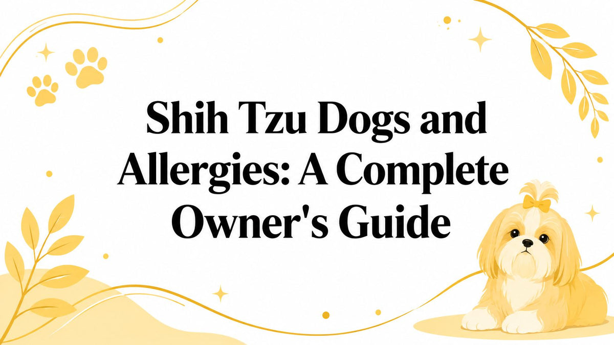 Shih Tzu Dogs and Allergies: A Complete Owner's Guide