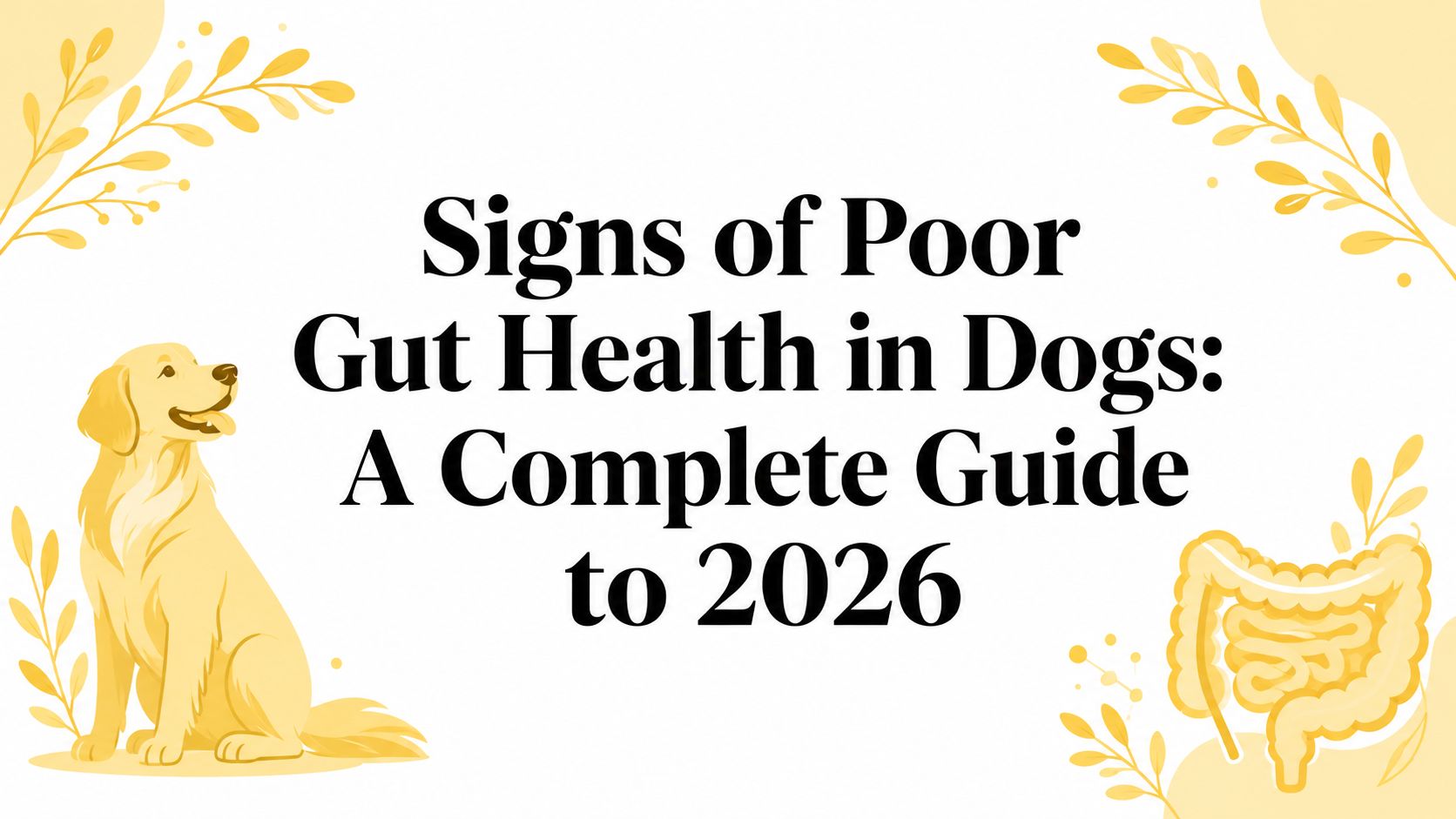 Signs of Poor Gut Health in Dogs: A Complete Guide to 2026