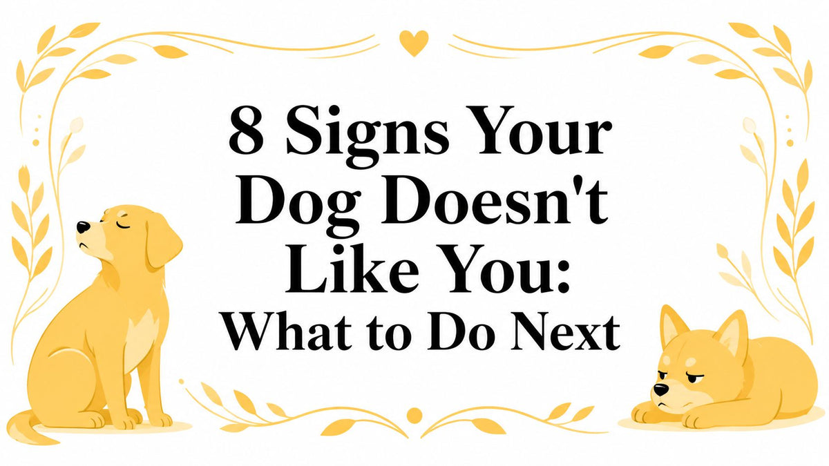 8 Signs Your Dog Doesn't Like You: What to Do Next