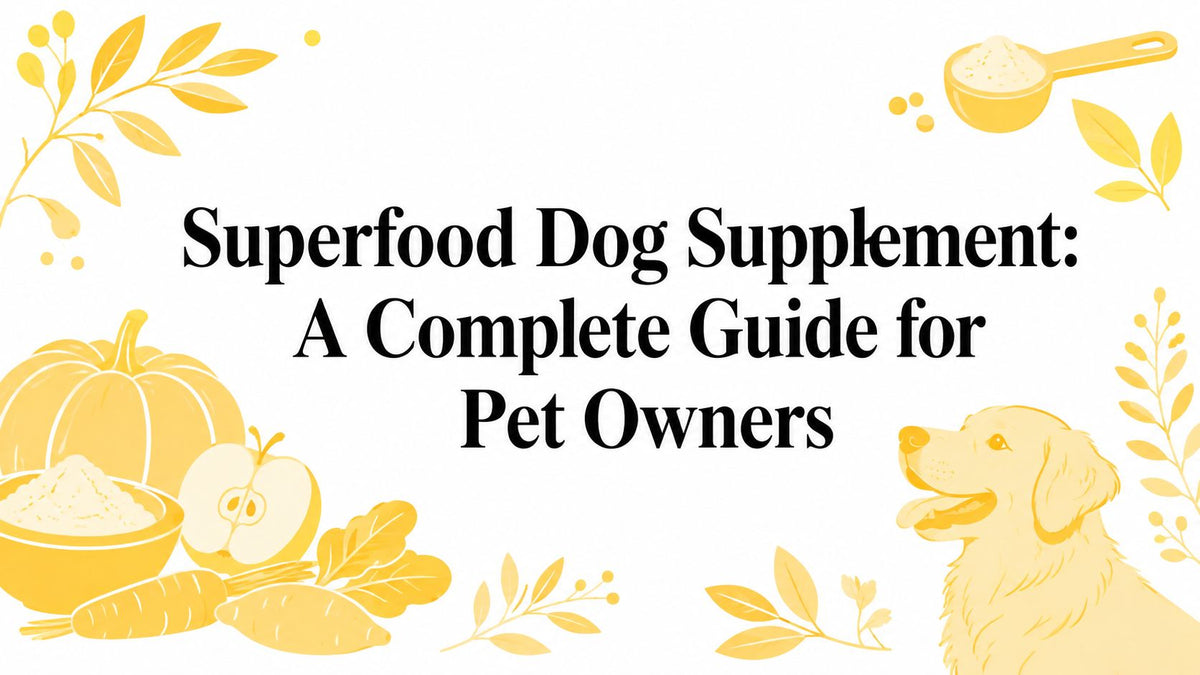 Superfood Dog Supplement: A Complete Guide for Pet Owners