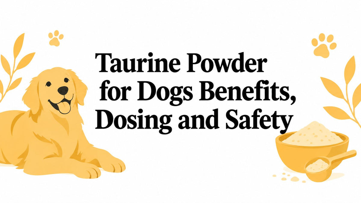 Taurine Powder for Dogs Benefits, Dosing and Safety