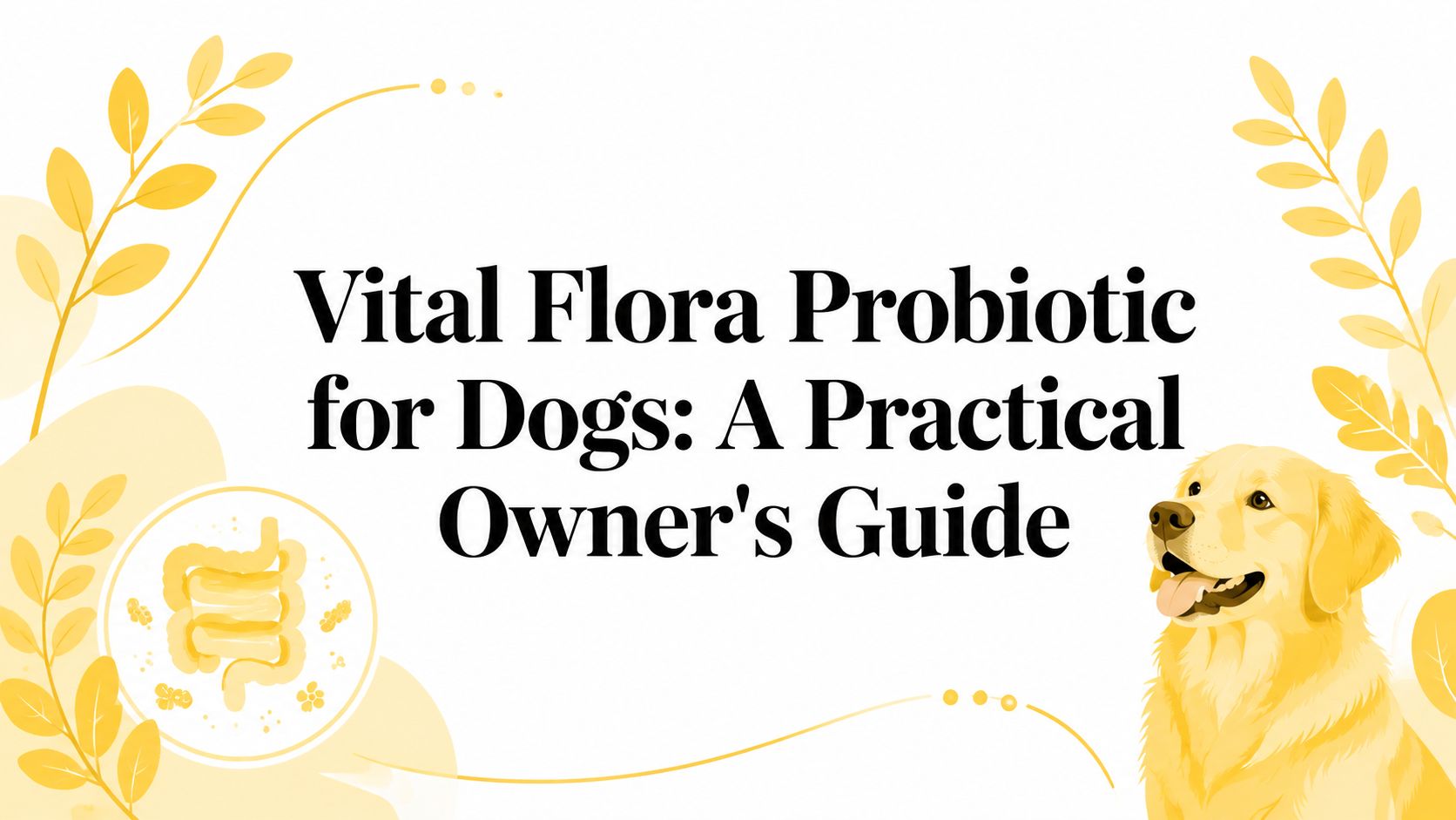 Vital Flora Probiotic for Dogs: A Practical Owner's Guide