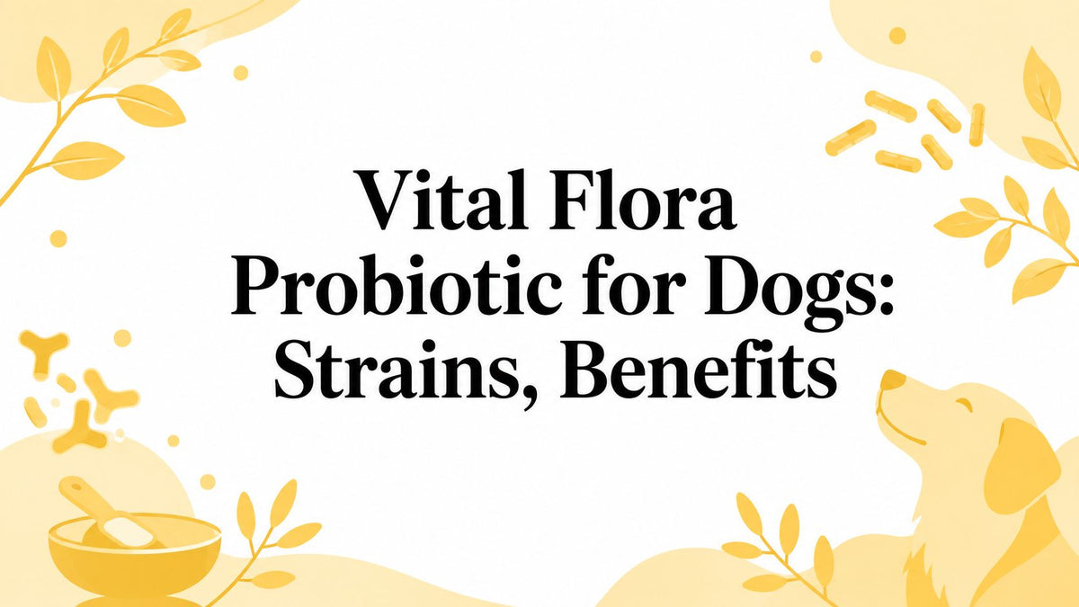 Vital Flora Probiotic for Dogs: Strains, Benefits