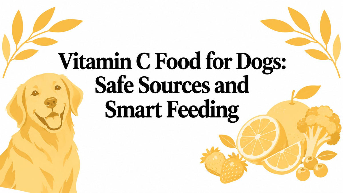 Vitamin C Food for Dogs: Safe Sources and Smart Feeding