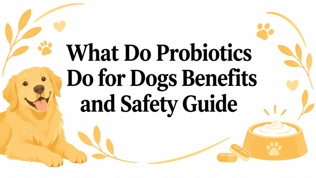 What Do Probiotics Do for Dogs Benefits and Safety Guide