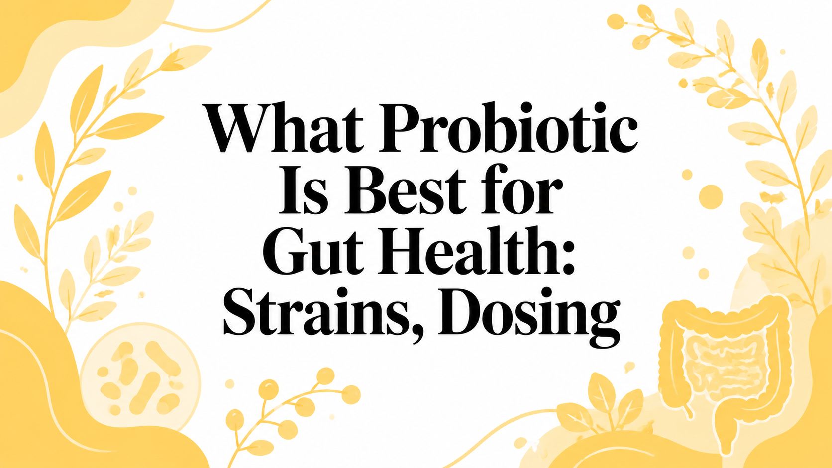 What Probiotic Is Best for Gut Health: Strains, Dosing