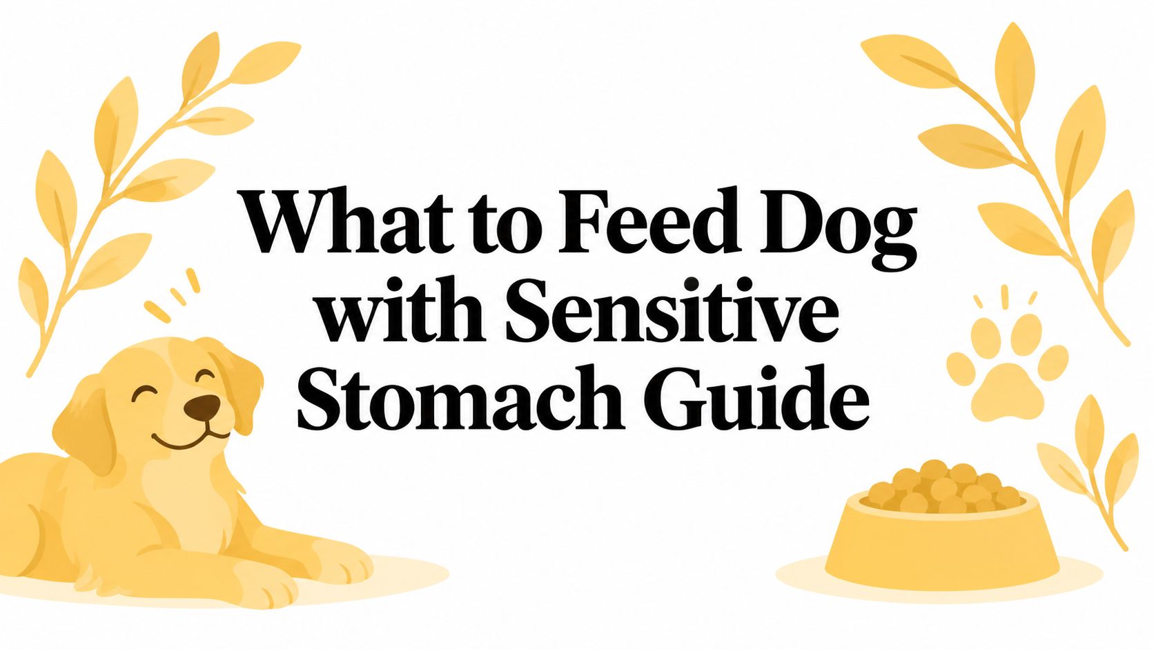 What to Feed Dog with Sensitive Stomach Guide