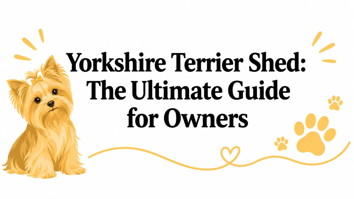 Yorkshire Terrier Shed: The Ultimate Guide for Owners